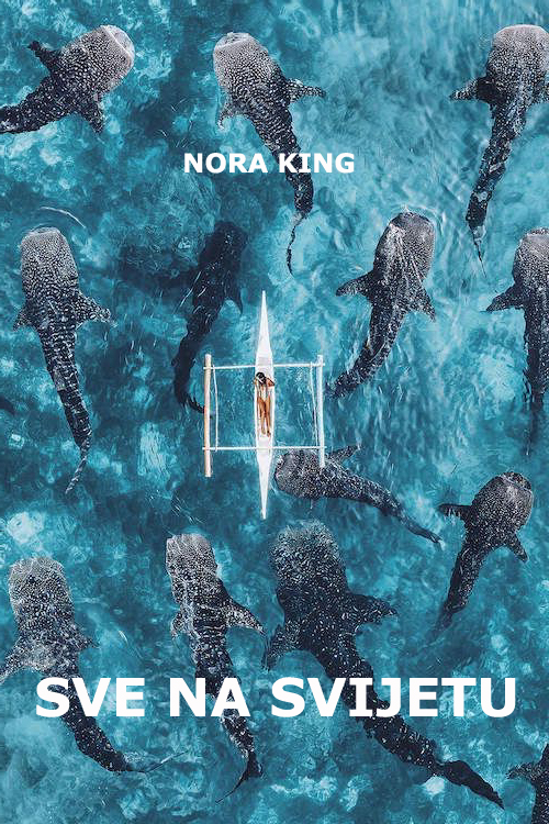 Nora King - Sve na svijetu